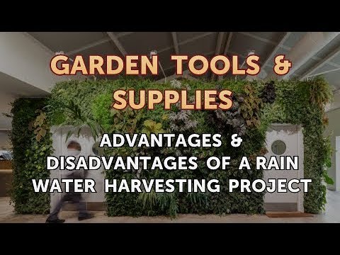 Advantages & Disadvantages of a Rain Water Harvesting Project