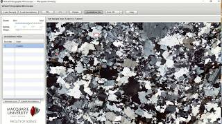 Demo Microscopio Virtual
