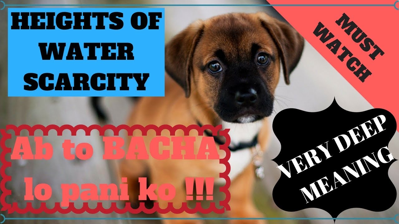 Heights of water scarcity | Utkarsh Agarwal | 3dYF Group