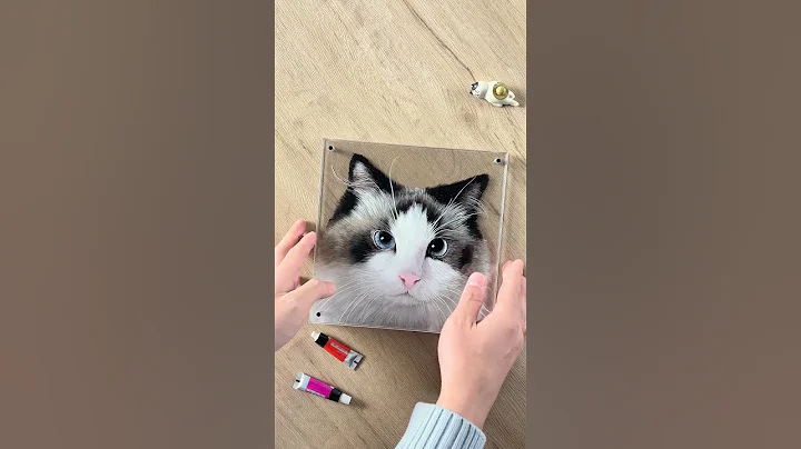 Video 6717491: kitten pets catlover cutecat, cats pet catlover cutecat, cats pets cutecat drawing, cat cutecat pets animals, catlover pets funny cutecat