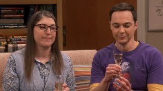 Sheldon's super symmetric paper publication party. Big Bang theory (S11)