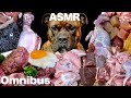 MUKBANG ASMR Dog eating Raw Meats!Omnibus 【American Bully】