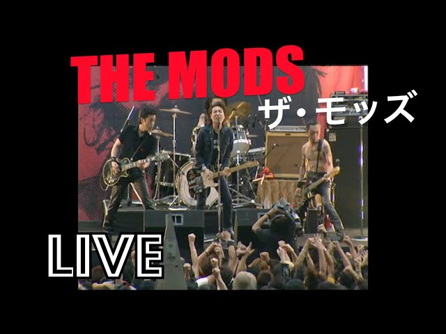 THE MODS ザ・モッズ ライブツアー ライヴ パンフレット THE MODS ザ