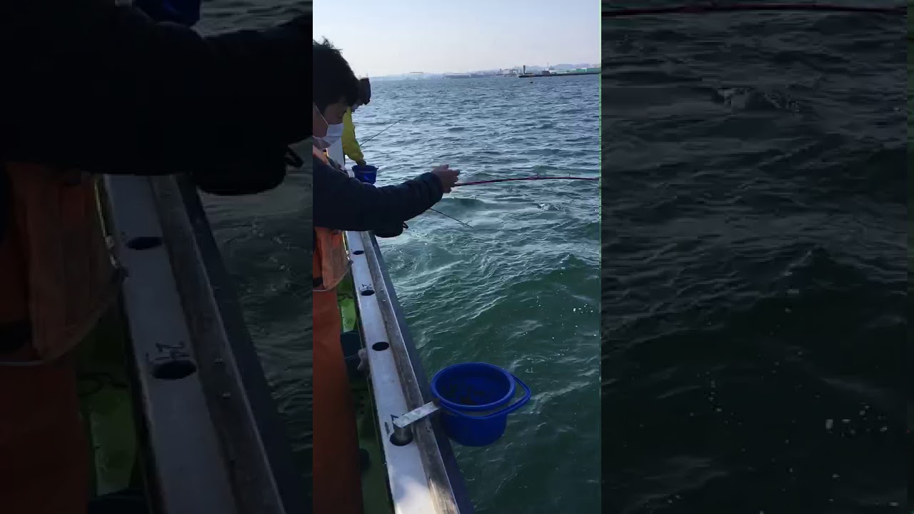 アジ釣り動画 黒川丸 金沢八景 Youtube アジ釣り動画 黒川丸 金沢八景 Youtube