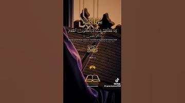 سورة الأنبياء [ القرآن الكريم] القارئ /فارس عباد