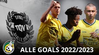 Alle Doelpunten Fortuna Sittard 20222023