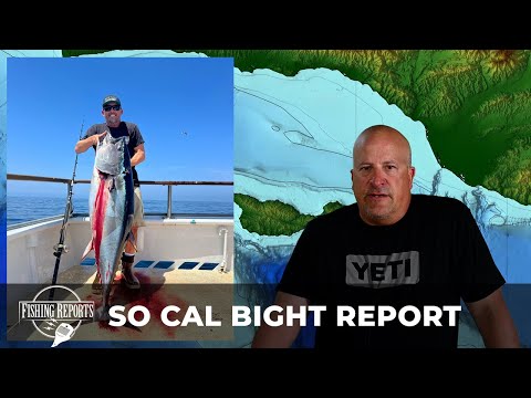 Southern California Bight FISHING REPORT 08-03-2022 