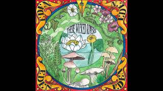 The Garden· These Wicked Rivers
