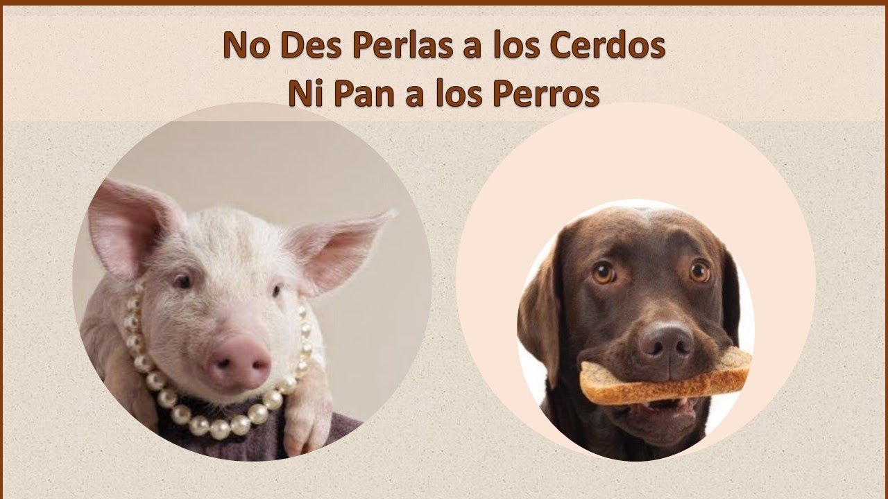 No des Perlas a los Cerdos - YouTube