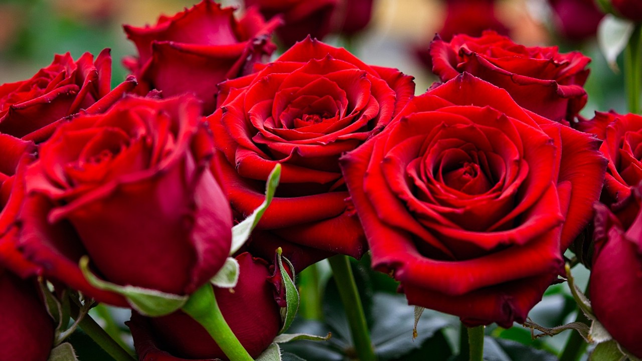 Прекрасные весенние мелодии 🌺 Я плакала, когда услышала эту музыку 🌿 Сергей Грищук