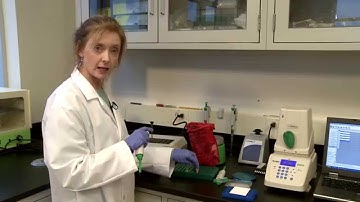 iQ-Check Standard Extraction Protocol Training