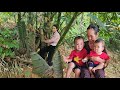 Grandma Helps Vui Take Care Of Her Grandchildren Vui Harvests Giant Bamboo Shoots To Sell Grandma Helps Vui Take Care Of Her Grandchildren Vui Harvests Giant Bamboo Shoots To Sell