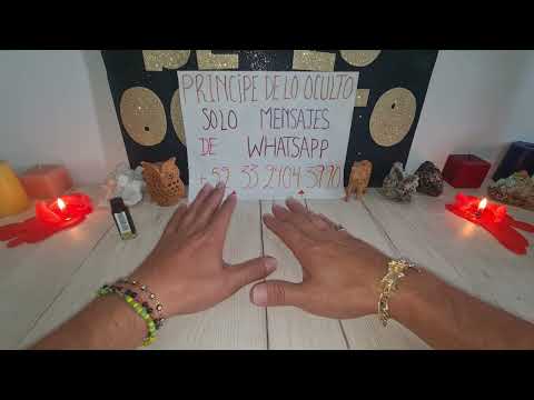 SORTEO REINA DE CORAZÓN (Serie Plus) | Dubai Palace Casino
