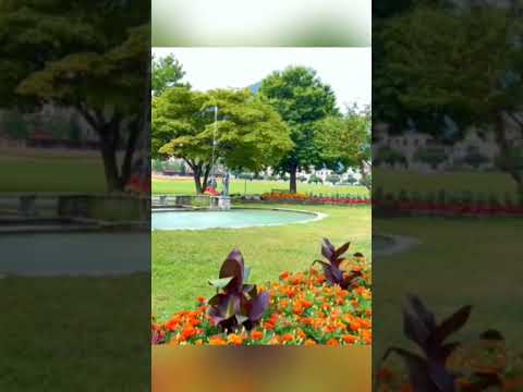 شاهد أجمل حديقه في سويسرا سويسرا لايك اشتراك