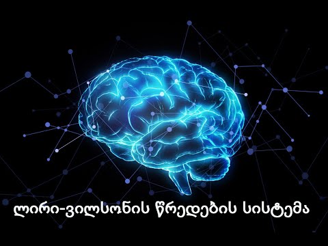 მამუკა გურული - \"ლირი-ვილსონის წრედების სისტემა\"