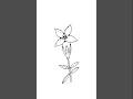 draw plant#art #drawing ##plant