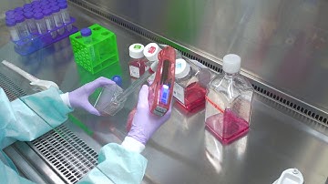 Cell Culture Video: Step-by-Step Guide to Passaging Cells