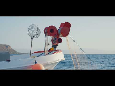 Tabarca Marine Reserve of Fishing Interest