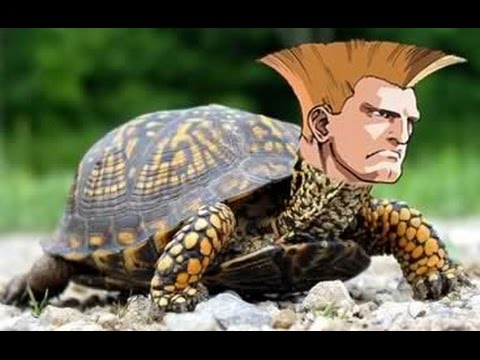 What is Guile Turtling, and why don't people like it when people guile  turtle in Street Fighter 2? - Quora