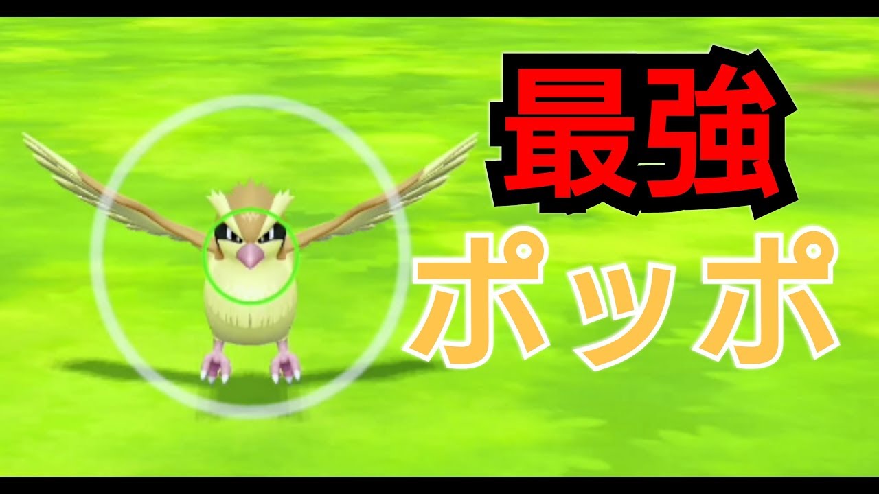 ポケモンlet Sgo 最強のポッポ作ってみた Youtube