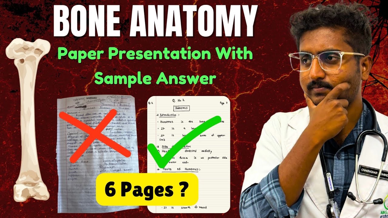 Bone Anatomy - Paper Presentation With Sample Answer | Rachana Sharir Paper 1 - BAMS First Year