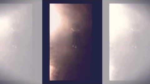 |Stephanie Cox|Performer