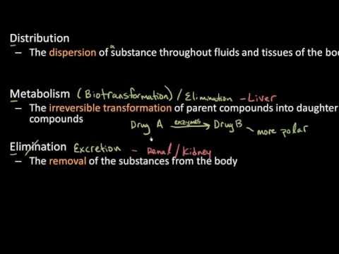 Pharmacokinetics for Students: Absorption, Distribution, Metabolism, and Elimination -Lect 1