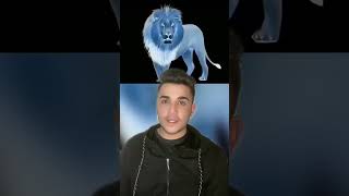 Aslanın Burnundaki Noktaya 10 Saniye Bakın Çek Öztesti