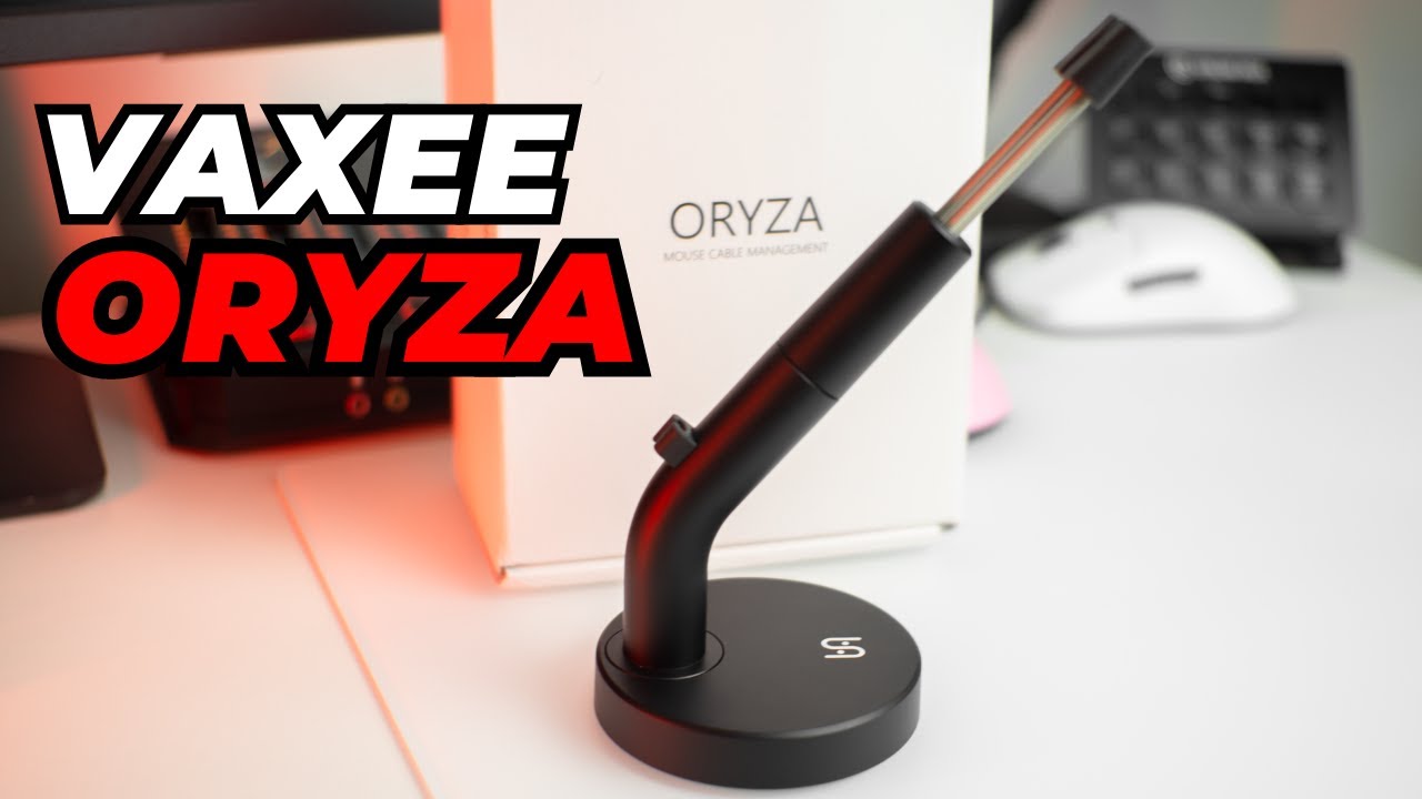 The BEST Mouse Bungee! - VAXEE ORYZA Review - YouTube