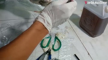 Quy trình chi tiết làm khuôn mẫu Composite và Sợi thủy tinh #composite #howitsmade #vietnamlive