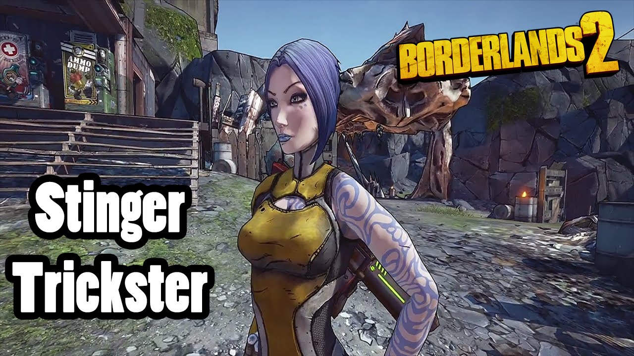 Borderlands 2: Stinger with Blurred Trickster, also better than the Infinity