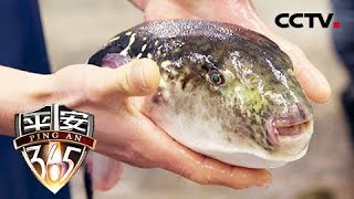 《平安365》 20180526 河豚之毒 | CCTV社会与法