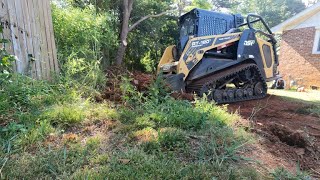 The Best Way to get rid of Bamboo out of your Yard