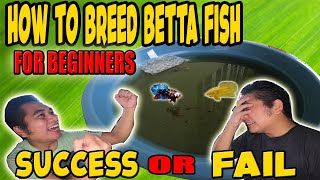 PAANO MAG BREED NG BETTA FISH | How to breed Betta Fish 2026 - Betta Breeding Tutorial Tagalog