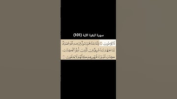 سورة البقرة الآية (101) | القارئ الشيخ: سعد الغامدي