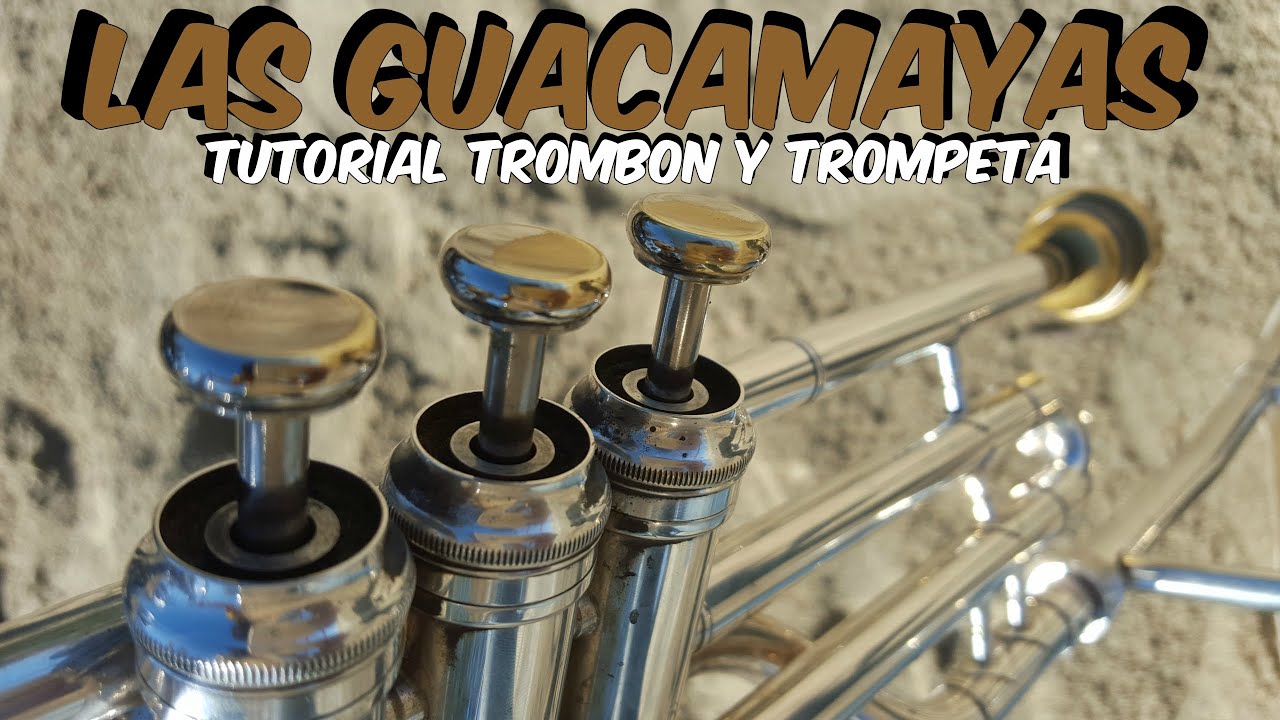 LAS GUACAMAYAS Tutorial Trombon Y Trompeta