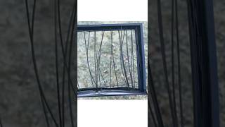 🖨️ This trick helped me print a picture frame too big for the build plate – 🚀🖼️✨ #diy #3ddruck Profile