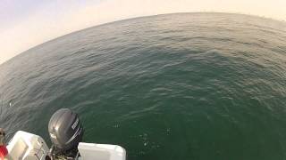 Navigator Charter (Artificial Bait) screenshot 1