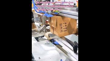 High-Speed Automatic Carton/Case Erector Machine in Action