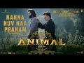 Capture de la vidéo Animal (Telugu) Nanna Nuv Naa Pranam: Ranbir Kapoor,Rashmika | Sonu Nigam,Ananthas | Sandeep Reddy V