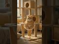 #AI #BANG #POP #BOOM #cattower