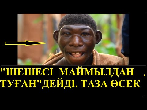 Бейне: Шарап неге мазақ етеді?