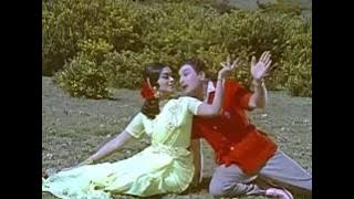 நான் பார்த்ததிலே   Naan paarthathile
