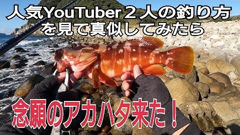 あの釣り方で念願のアカハタ！