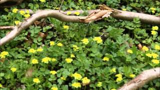 Du Kom Med Alt Det Der Var Dig