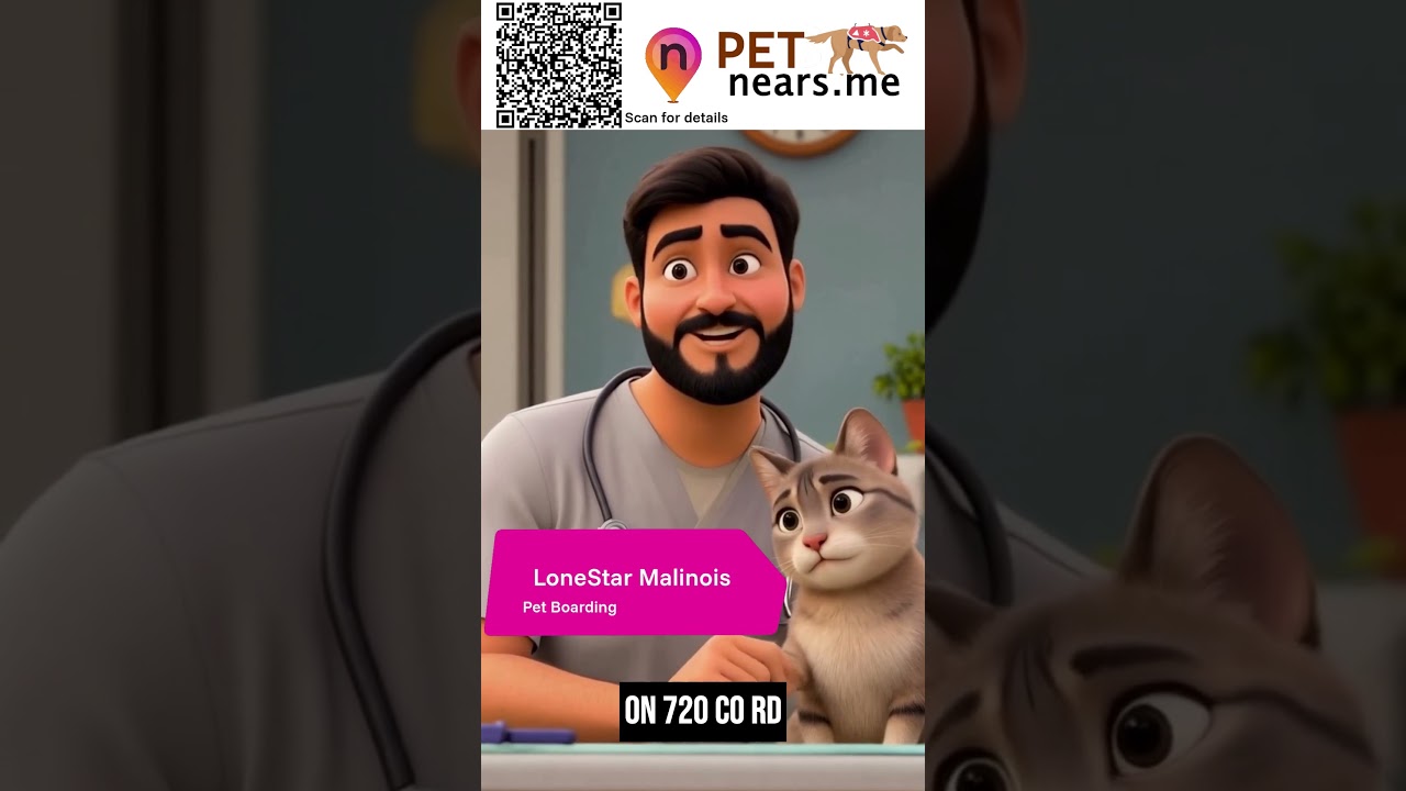 LoneStar Malinois Dog Boarding & Training - Pet Boarding Service in Gatesville, Texas | Pet Near 5