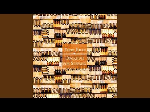 Terry Riley – Organum For Stefano – CD (Album), 2022 [r22704788 