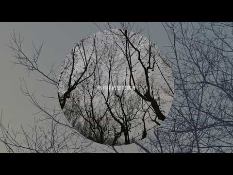【VOCALOID-Luotianyi】End Years