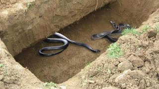 Rossiya yulduzlari bilan jinsiy aloqa Jinsiy aloqa paytida bogilish