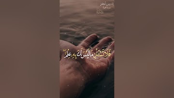 😍 من أجمل تلاوات الشیخ (إدریس أبکر)،فی سورة #هود - قصة نوح (علیەالسلام) و إبنە